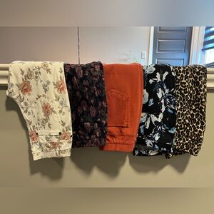 5 pair of women’s jeggings
